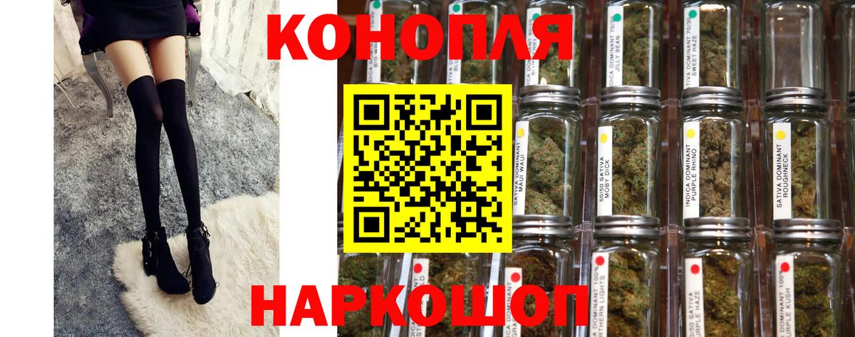 Бошки Шишки планчик Элиста